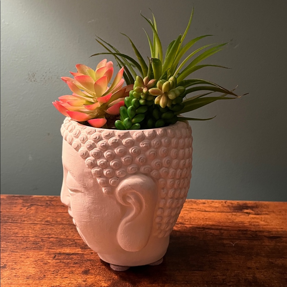 Succulent Buddha planter - Picture 3 of 5